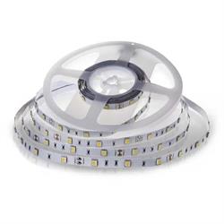 STRISCIA LED SMD5050 30 LED/mt 6400K IP20 4,8w/m