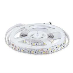 STRISCIA LED SMD5050 60 LED/mt RGB + 6000K IP20