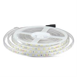 STRISCIA LED SMD5050 60LED/mt 6400K IP65 9w/m 24V