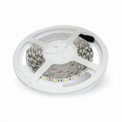 STRISCIA LED SMD5050 60 LED/mt BLU IP20 10,8w/m