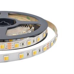 STRISCIA LED 5050 120LED 14W 3-4-6K IP20 24V