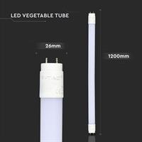 TUBO LED 18W T8 G13 120CM - PESCHERIA