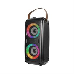 CASSA 10W RICARICABILE RGB CON USB & TF CARD 2x3INCH