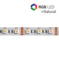 STRIP LED CC30096 4IN1 19.2W/MT IP20 24V RGB+4000K