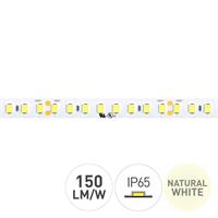 COLORS STRIP LED 24V 4000K 12W/MT IP65 9000LM