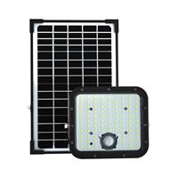 FARO LED CON PROIETTORE SOLARE 30W 4000K IP65